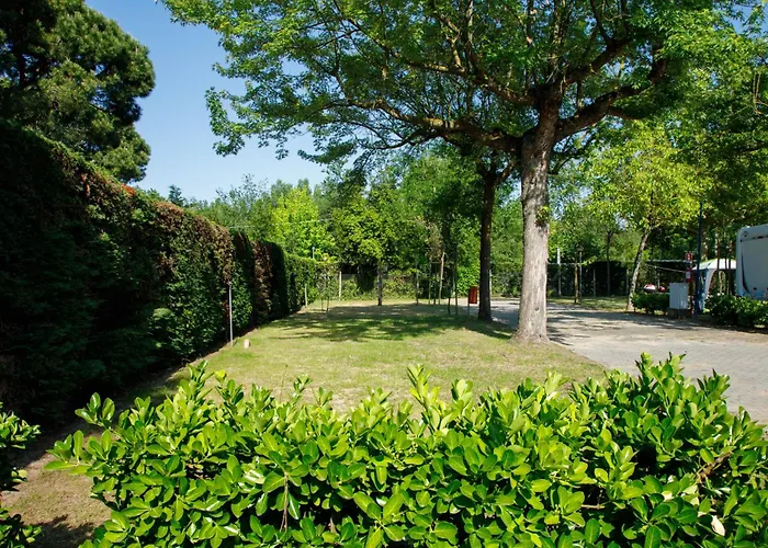 Klaus Cavallino-Treporti